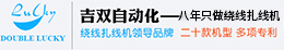 绕线扎线机厂家 全自动绕线扎线机厂家